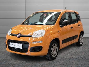 FIAT Panda III 2016 - Panda 1.2 Pop s&s 69cv my19
