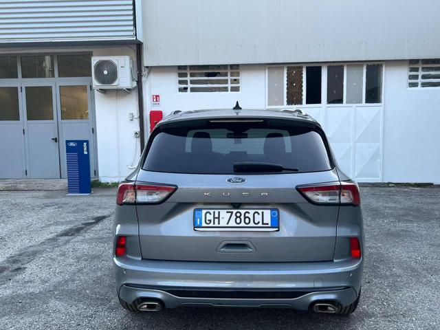 FORD Kuga 1.5 EcoBlue 120 CV aut. 2WD ST-Line X