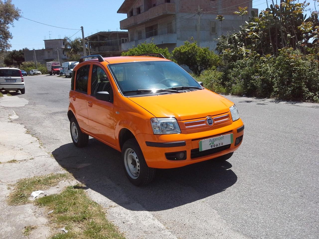 Fiat Panda 1.3 Multijet 4x4 Van 2 Posti Anno 2009