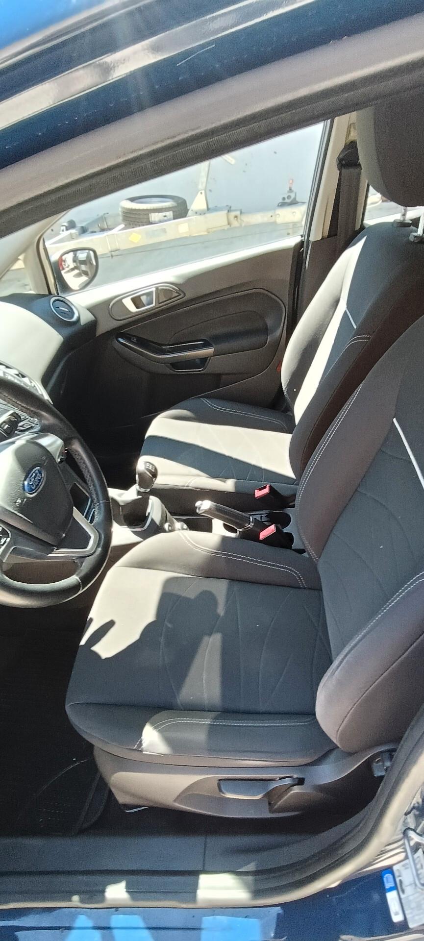 Ford Fiesta 1.4 5 porte Bz.- GPL Black & White Edition