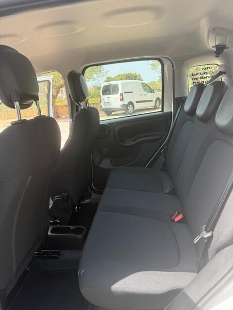 Fiat Panda Pandina 1.0 FireFly 65 CV Hybrid Icon