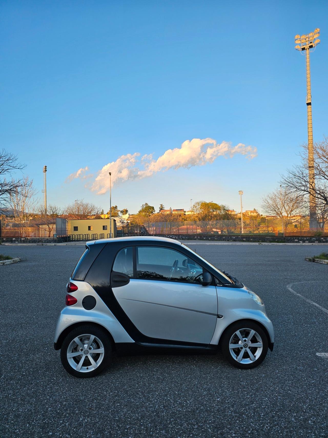Smart ForTwo 800 diesel 45 cv palette al volante