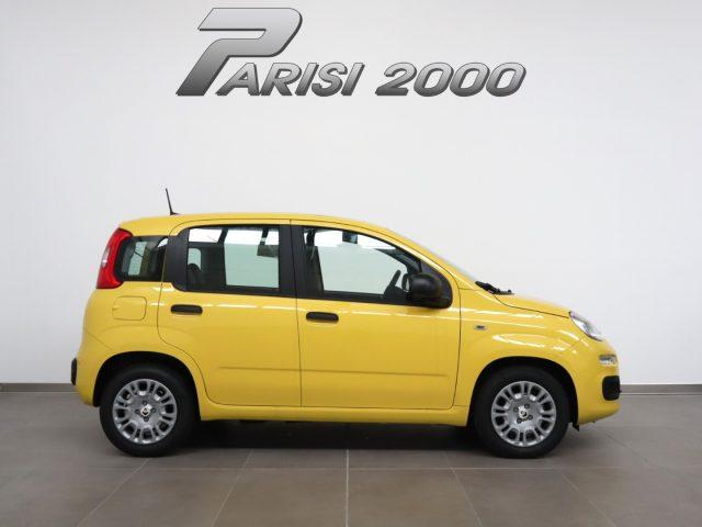 FIAT Panda 1.0 FireFly S&S Hybrid *PROMO PARISI GROUP*