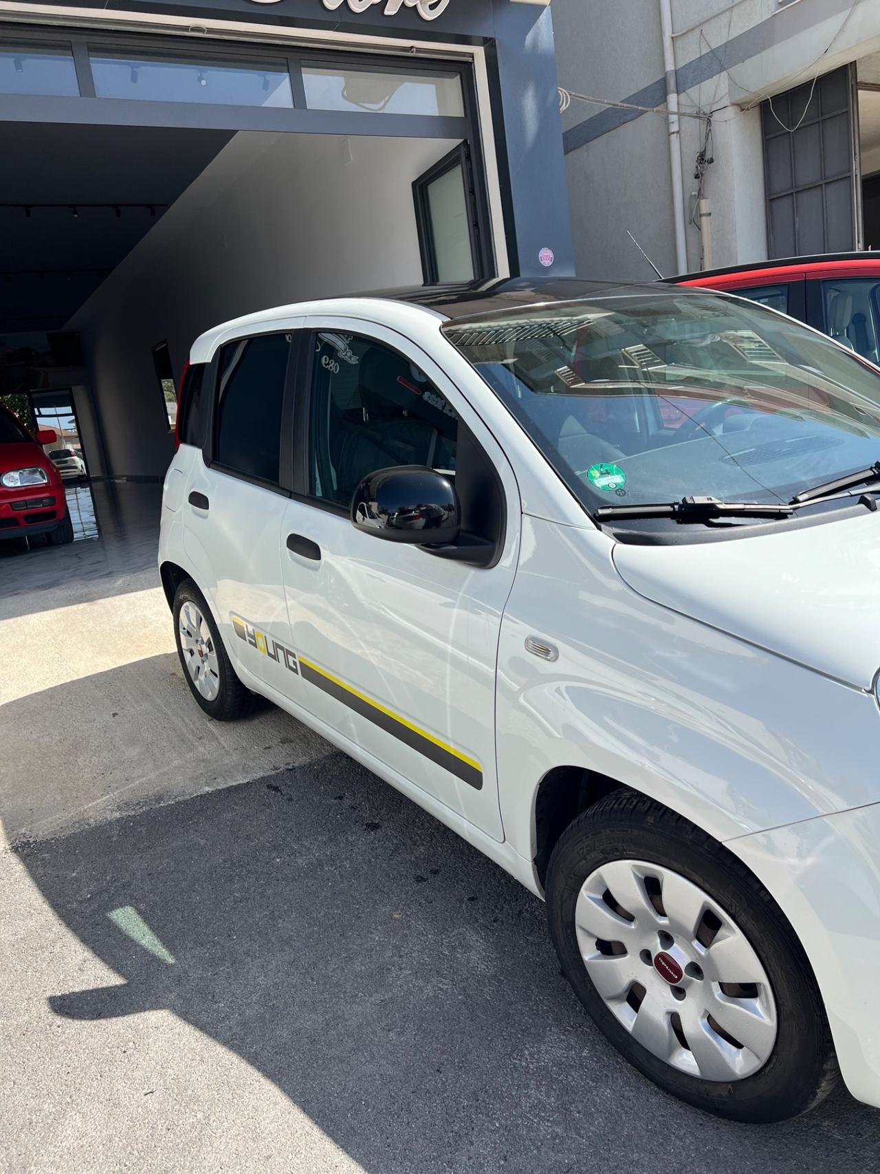 Fiat Panda 1.2 Young (Venduta)