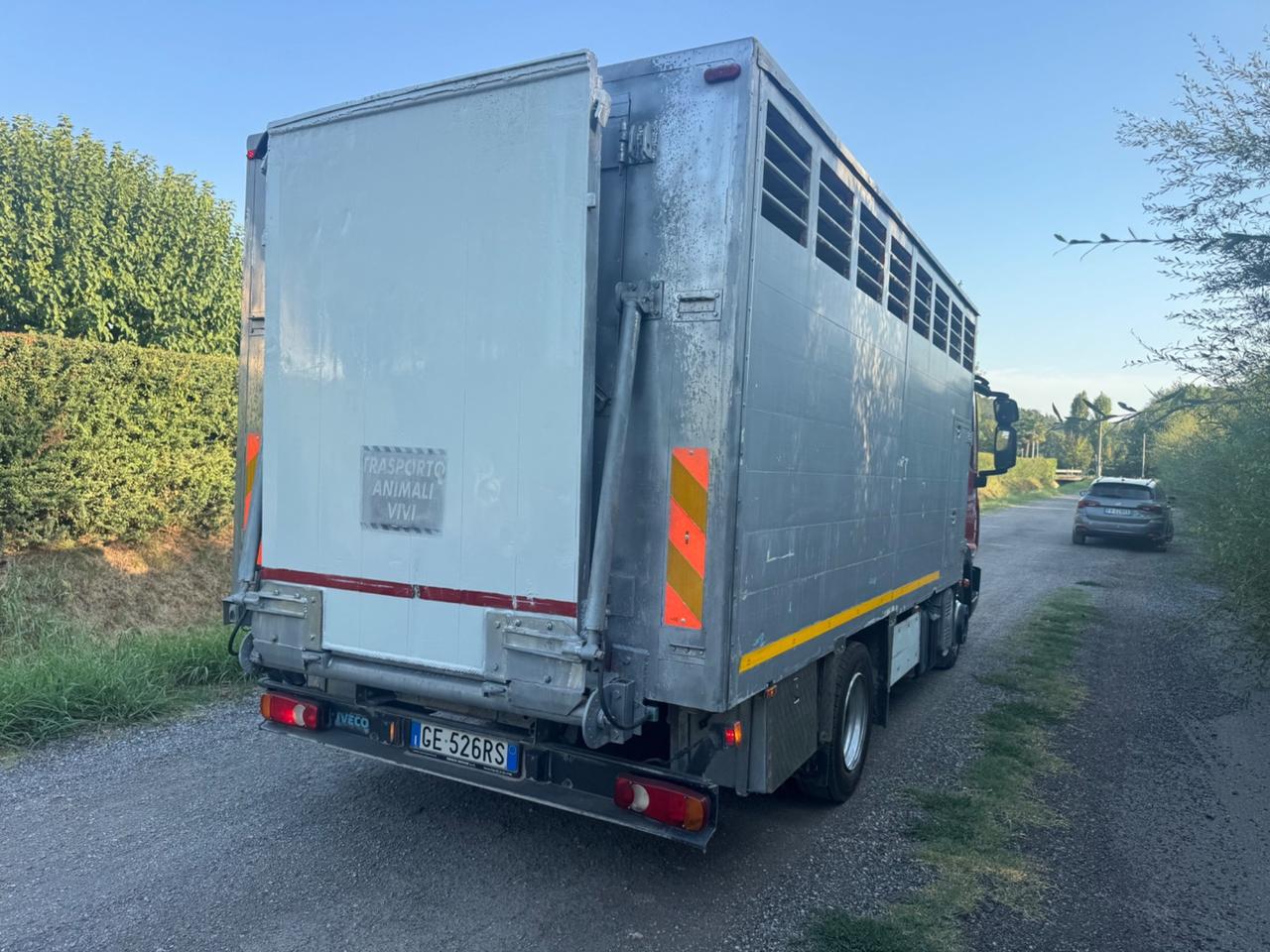 Iveco Eurocargo trasportato animali vivi