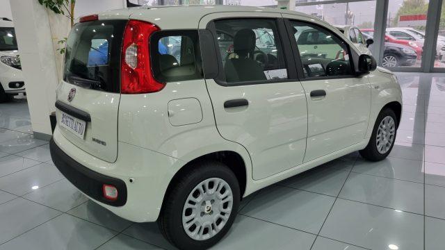FIAT Panda 1.0 FireFly S&S Hybrid 5Posti