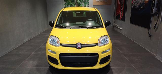 FIAT Panda 1.0 FireFly S&S Hybrid ICON