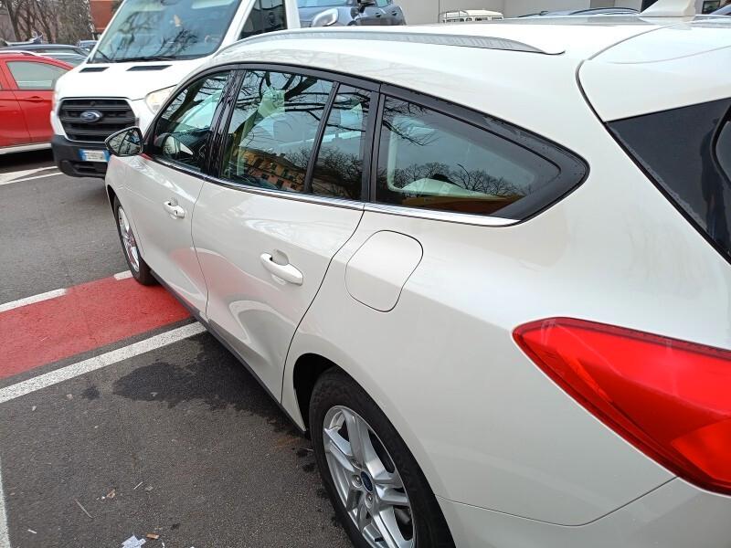 Ford Focus 1.5 EcoBlue 120 CV automatico SW Business Co-Pilot