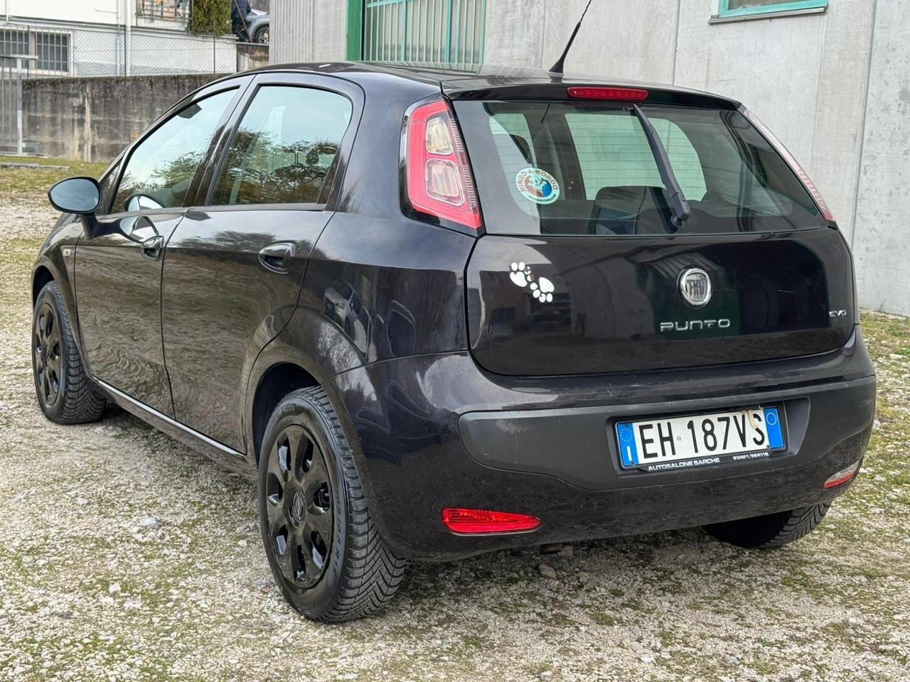 Fiat Punto Evo 1.3 Mjt 95 CV DPF 5 porte S&S Emotion