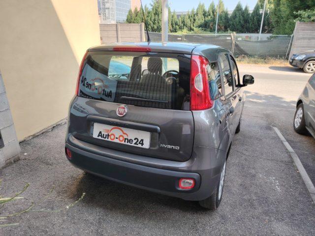 FIAT Panda 1.0 FireFly S&S Hybrid NEOPATENTATI - PREZZO REALE