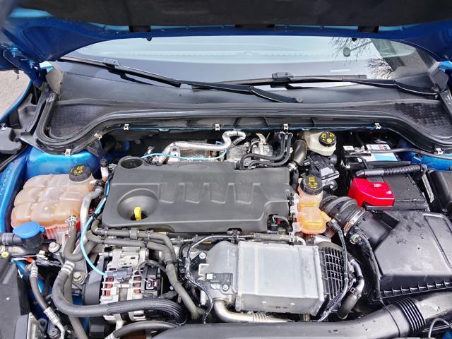 FORD Focus 2.0 EcoBlue 150 CV c.auto ST-Line Co-Pilot my2020