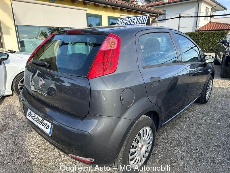 FIAT Punto Punto 1.2 8V 5 porte Street