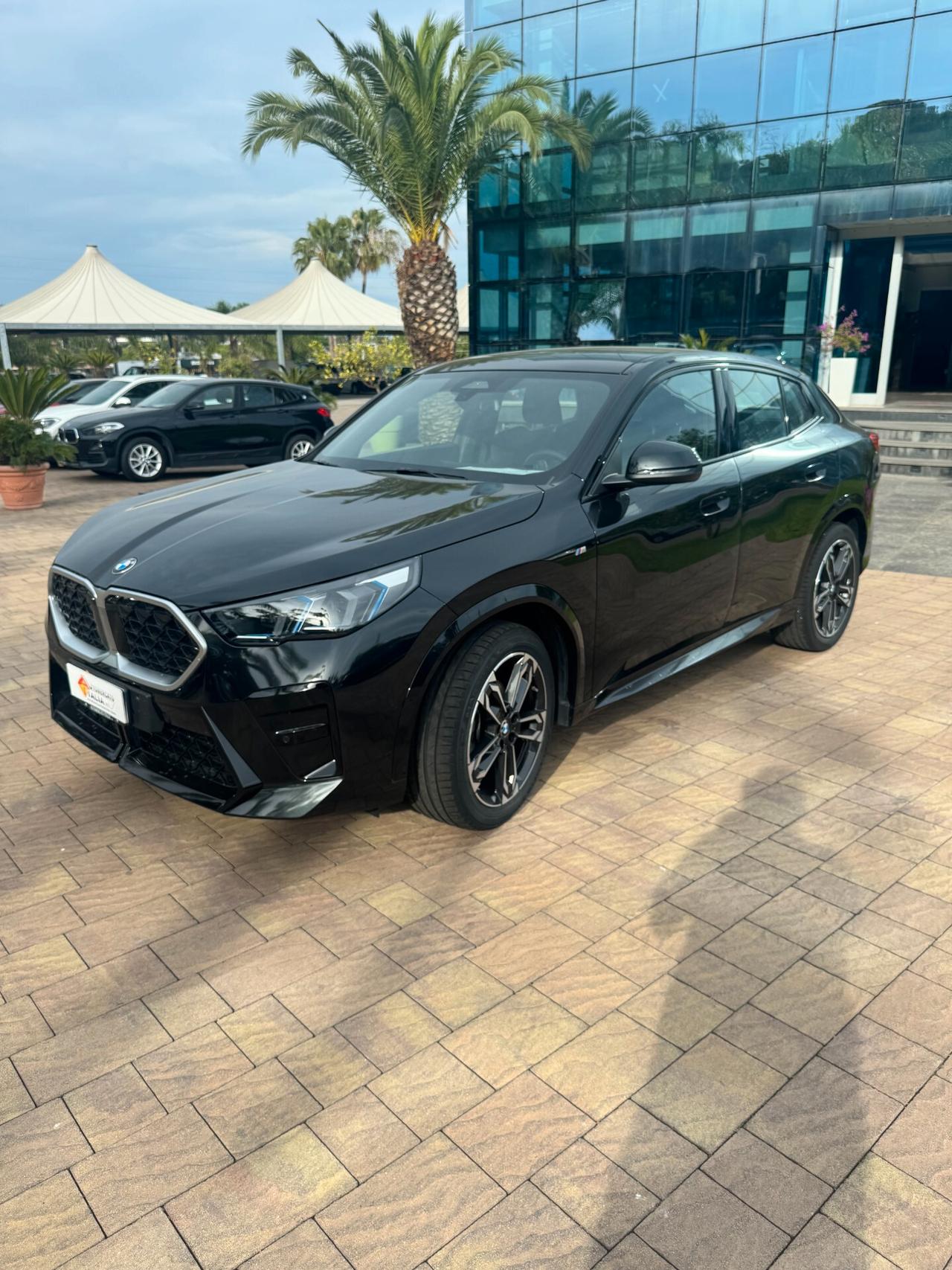 Bmw X2 M sDrive 18d Msport Pro
