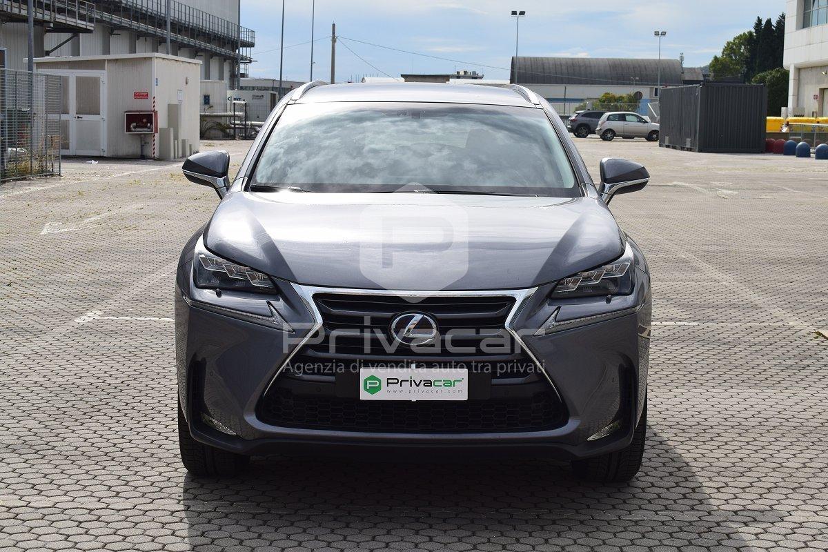 LEXUS NX Hybrid 4WD Luxury