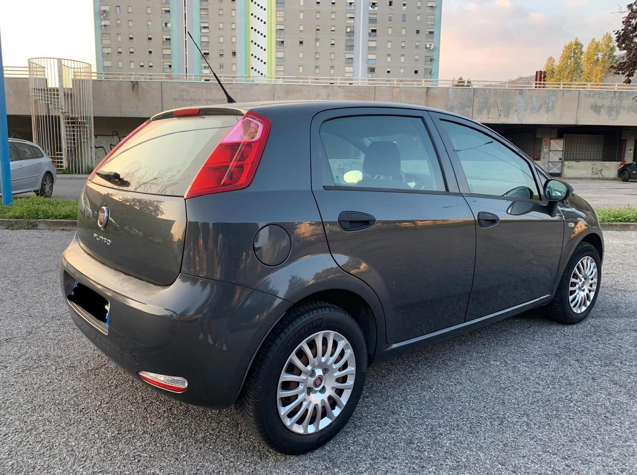 Fiat Punto 1.2 8V 5 porte neopatentati euro5