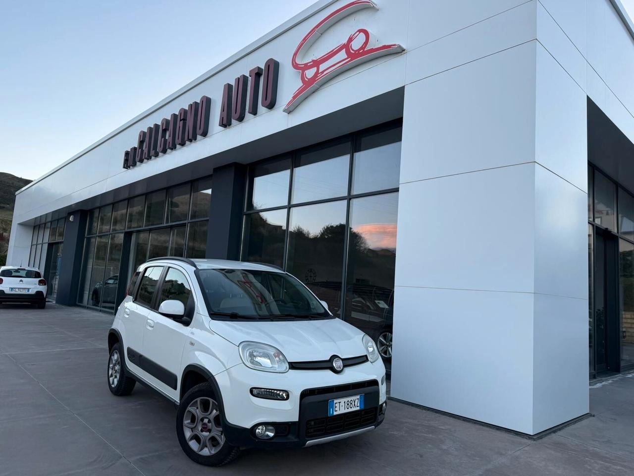 Fiat Panda 1.3 MJT S&S 4x4