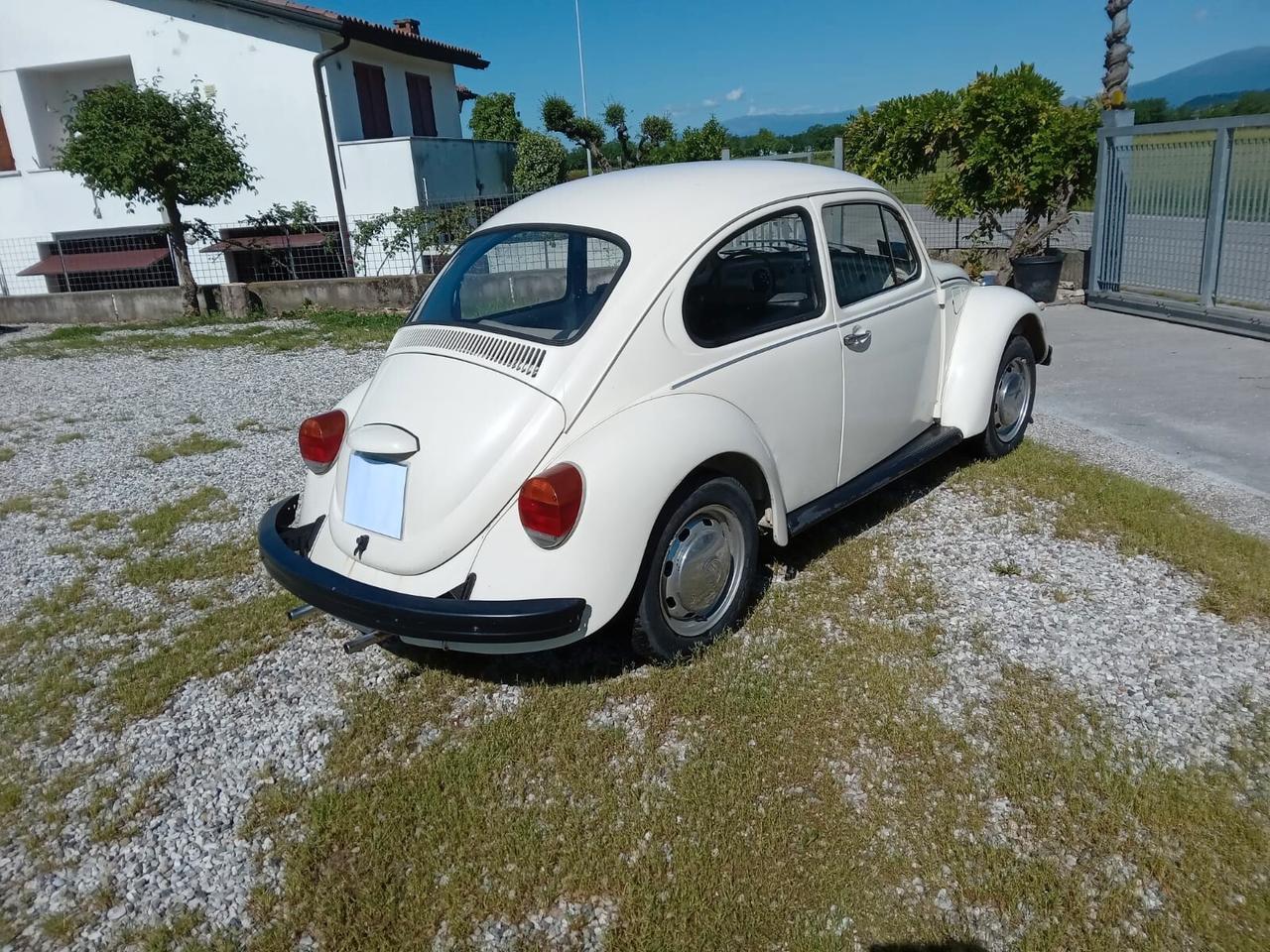 Volkswagen Maggiolino