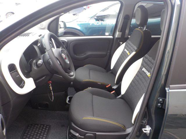 FIAT Pandina My25 - 1.0 FireFly Hybrid PANDINA