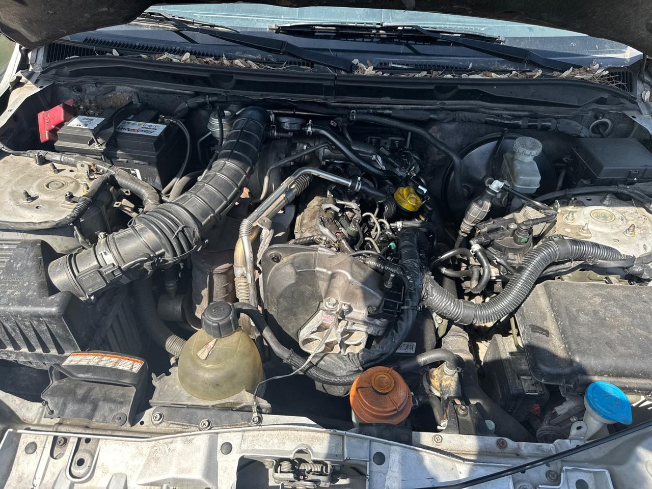 Suzuki Grand Vitara 1.9 DDiS 5 porte Executive 2006