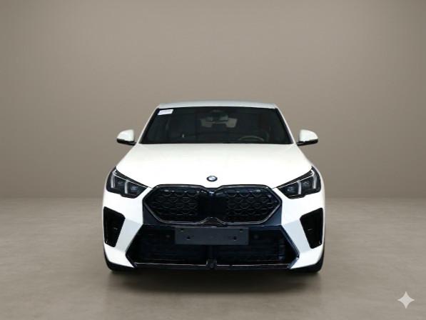 BMW X2 msport pro