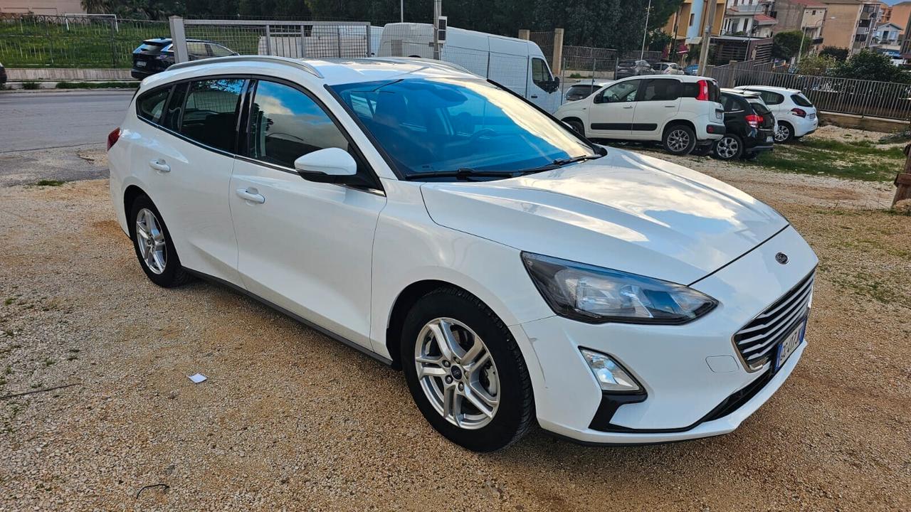 Ford Focus 1.5 EcoBlue 120 CV automatico 5p. Business Co-Pilot