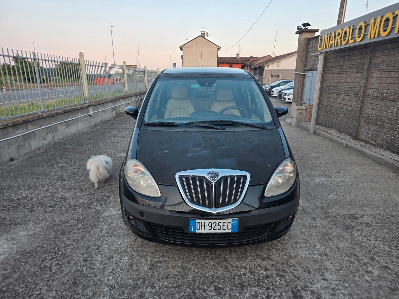 Lancia MUSA 1.3 Multijet 16V 90 CV Platino Plus
