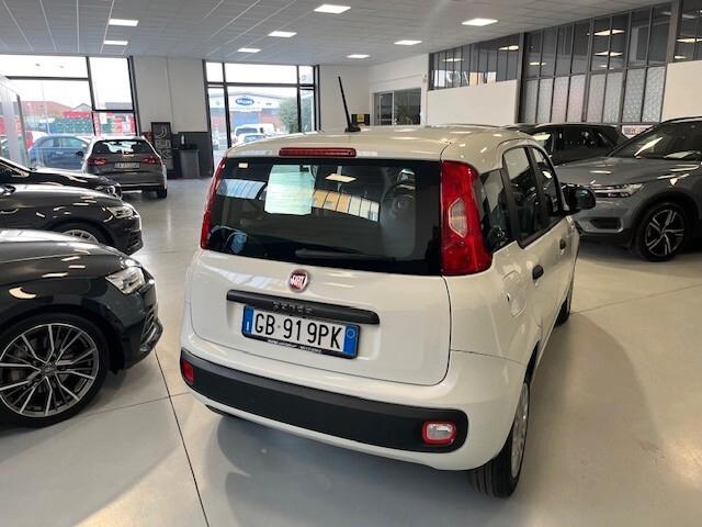 Fiat Panda 1.2 Easy 4 posti OK NEO PATENTATO