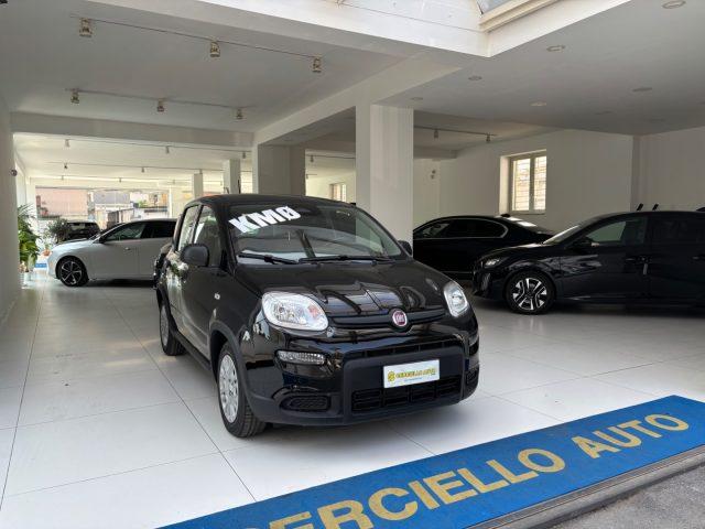 FIAT Panda 1.0 FireFly S&S Hybrid Pandina da ?139,00 mensili