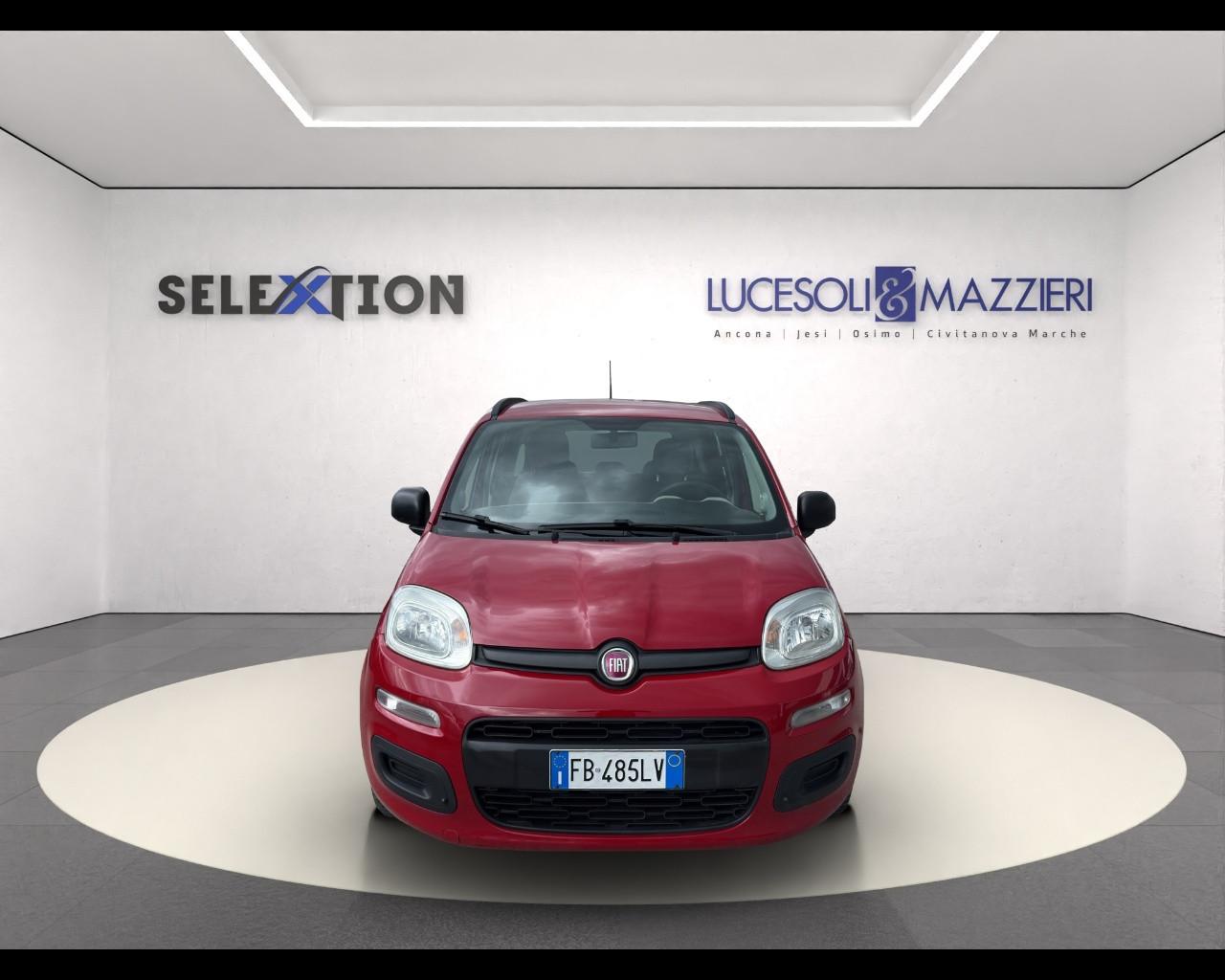 FIAT Panda 3ª serie - Panda 1.2 Easy