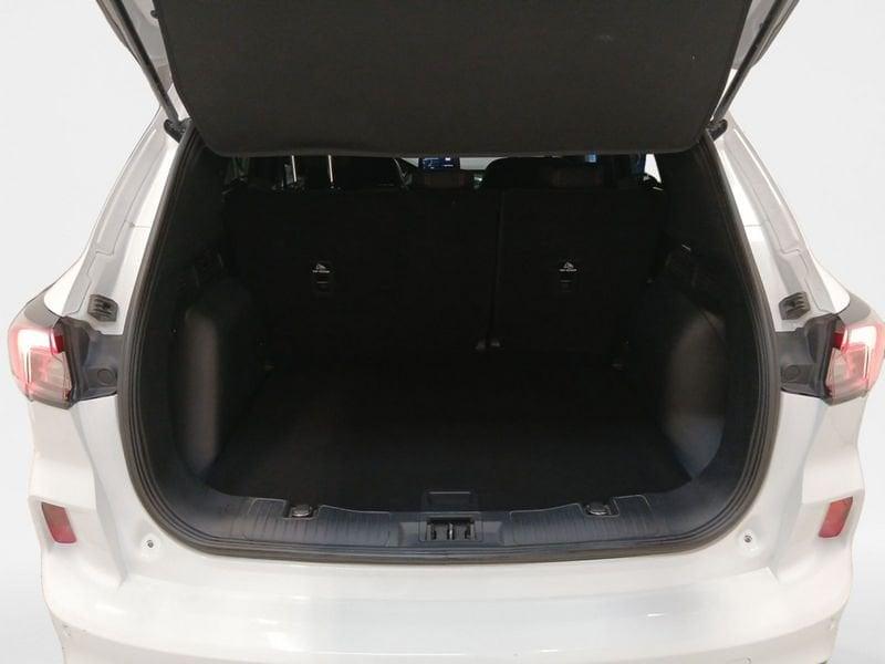 Ford Kuga 1.5 ecoblue ST-Line 2wd 120cv auto