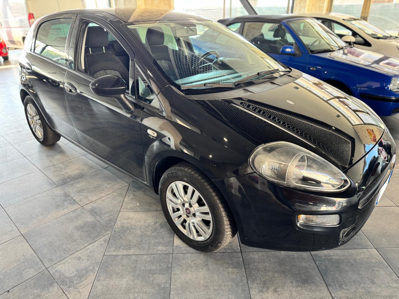 Fiat Punto 1.2 8V 5 porte Street