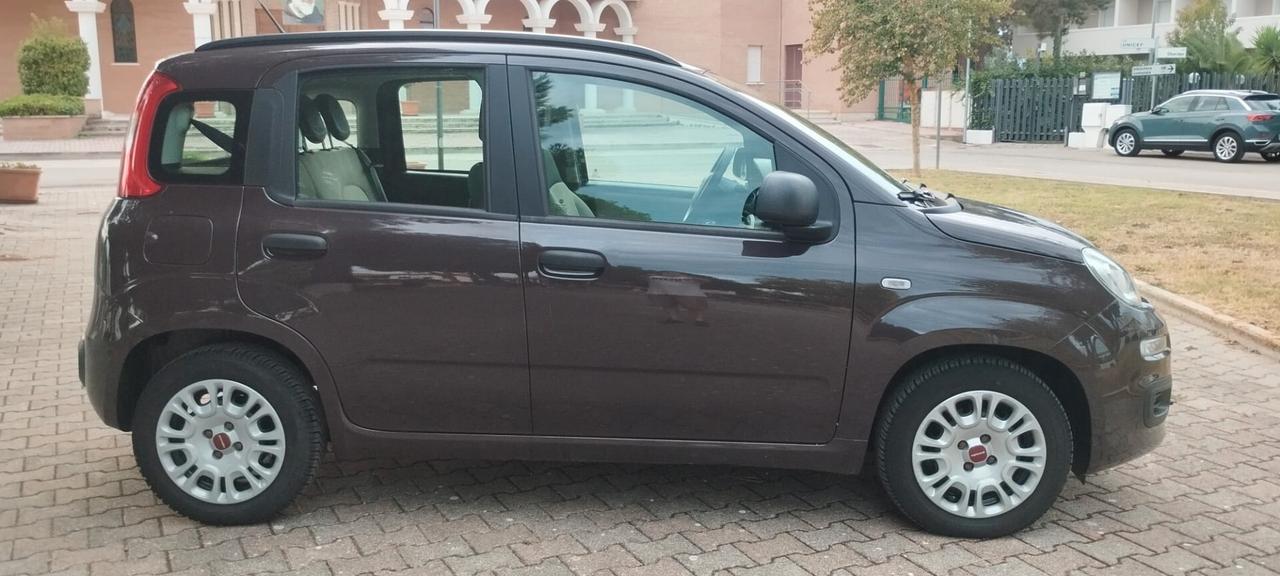 Fiat Panda Lounge 1.2 Fire 02/13 km 75.589