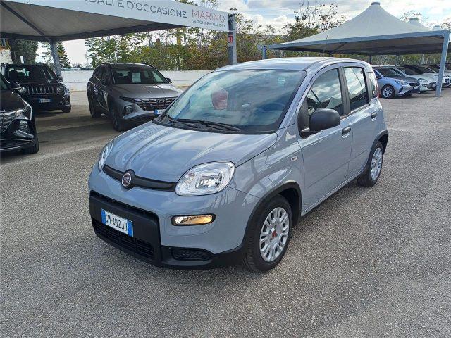 FIAT Panda 3ª serie 1.0 FireFly S&S Hybrid City Life