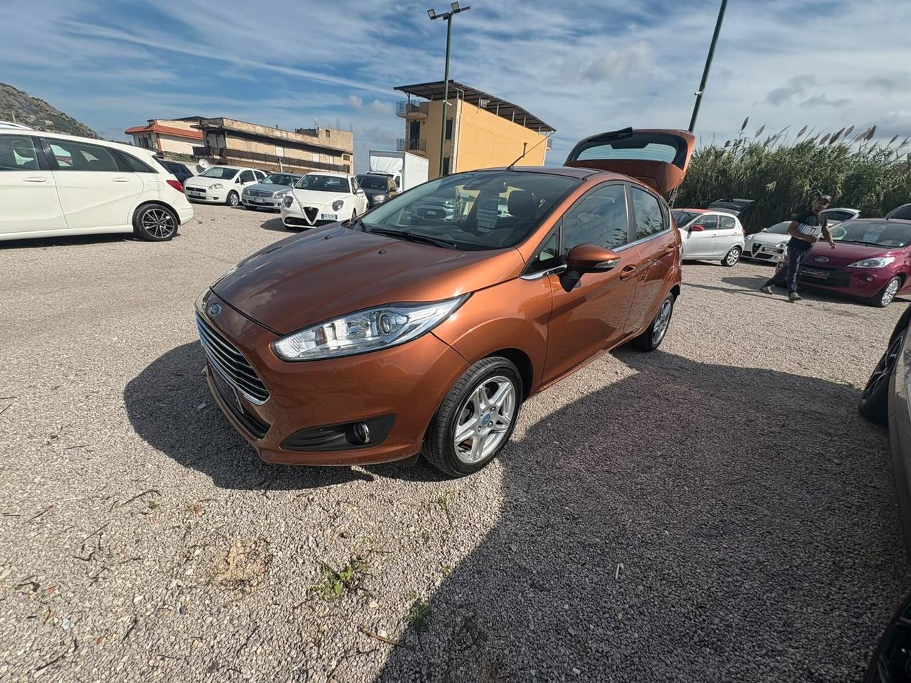 Ford Fiesta 1.0 EcoBoost 100CV 5 porte Powershift Titanium