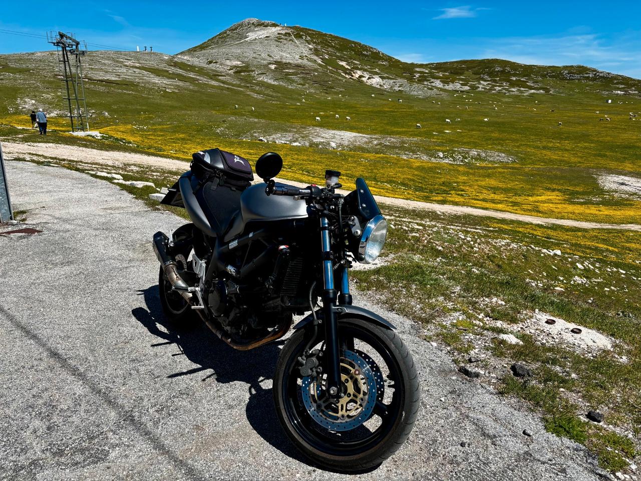 Cafe Racer su base Suzuki sv650 caffè ,scambler