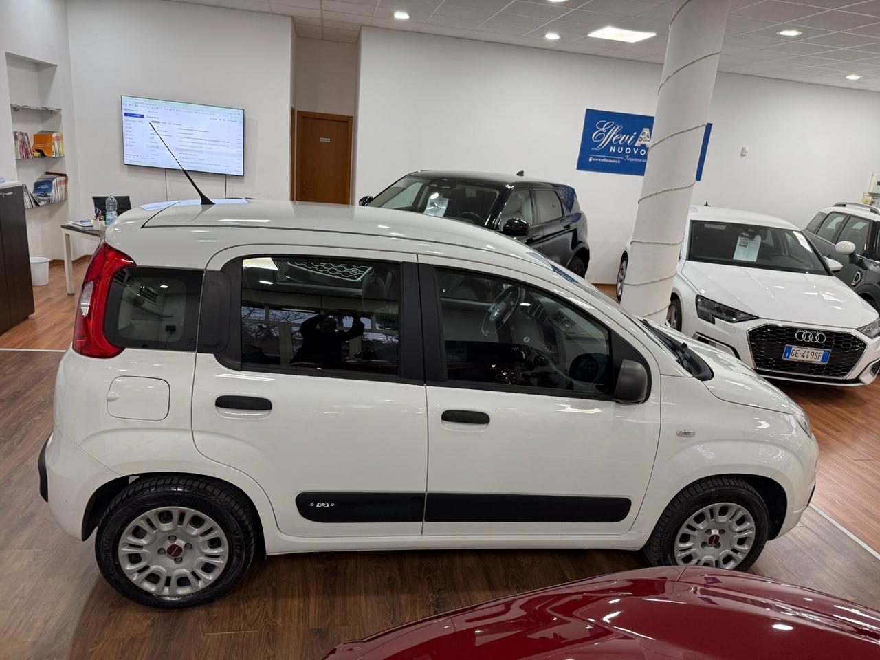 FIAT PANDA 1.2 69CV - Marzo 2019