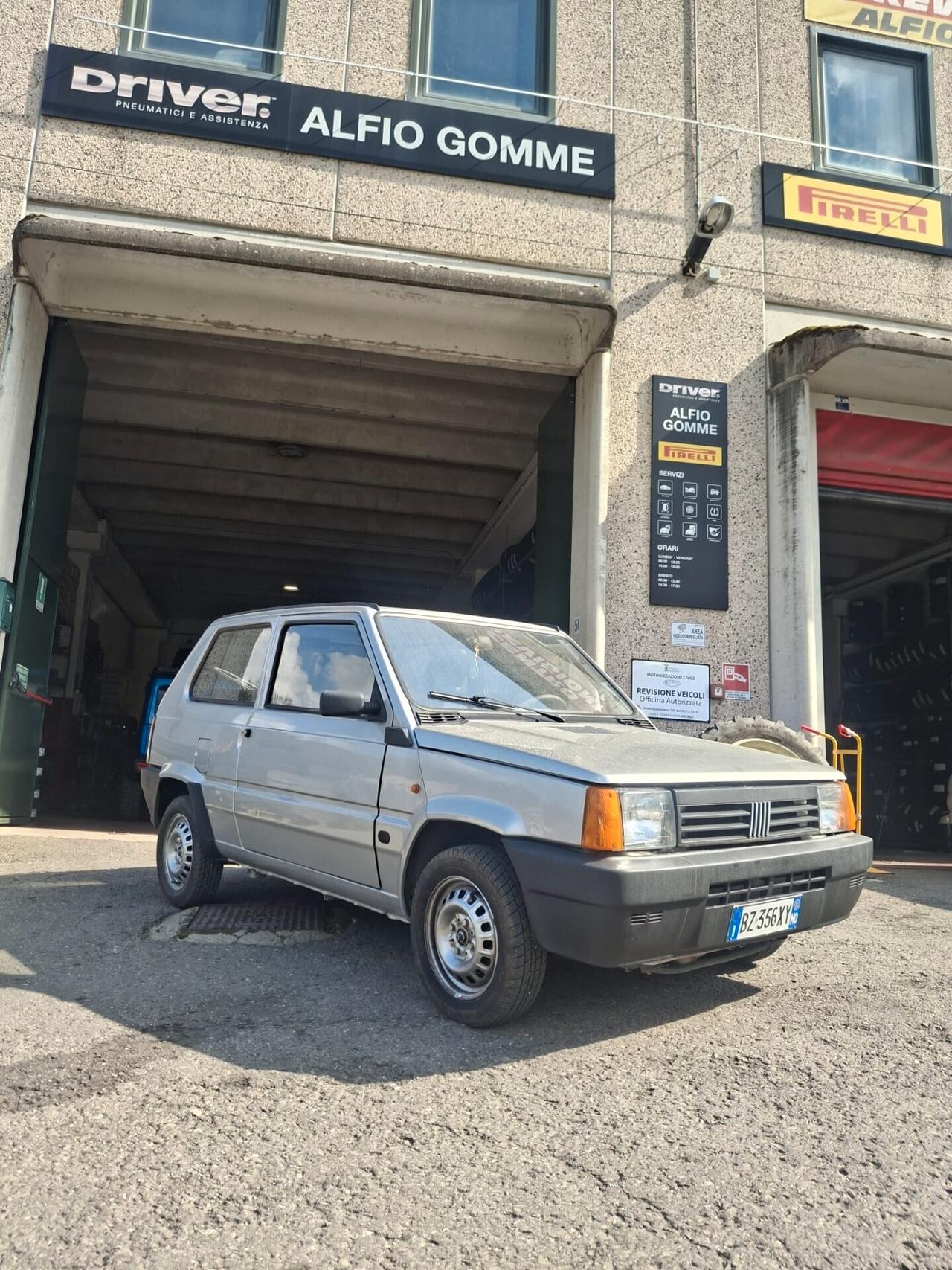 Fiat Panda 1100 i.e. cat Young
