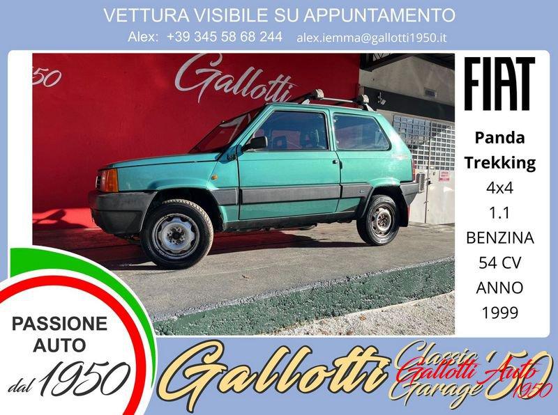 FIAT Panda 1.1 54 cv 4x4 benzina