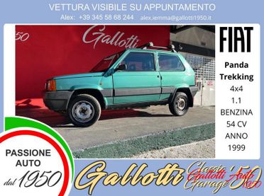 FIAT Panda 1.1 54 cv 4x4 benzina