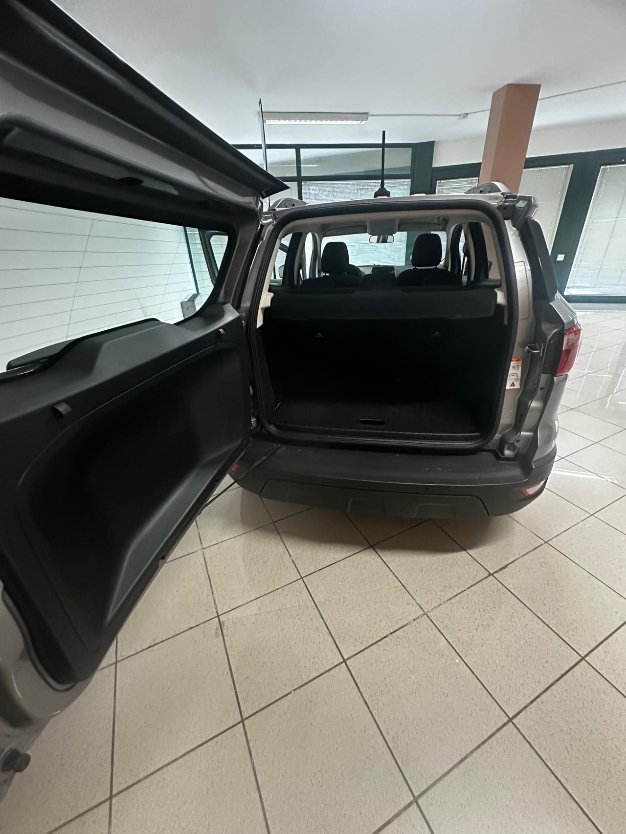 Ford EcoSport 1.0 EcoBoost 100 CV Business