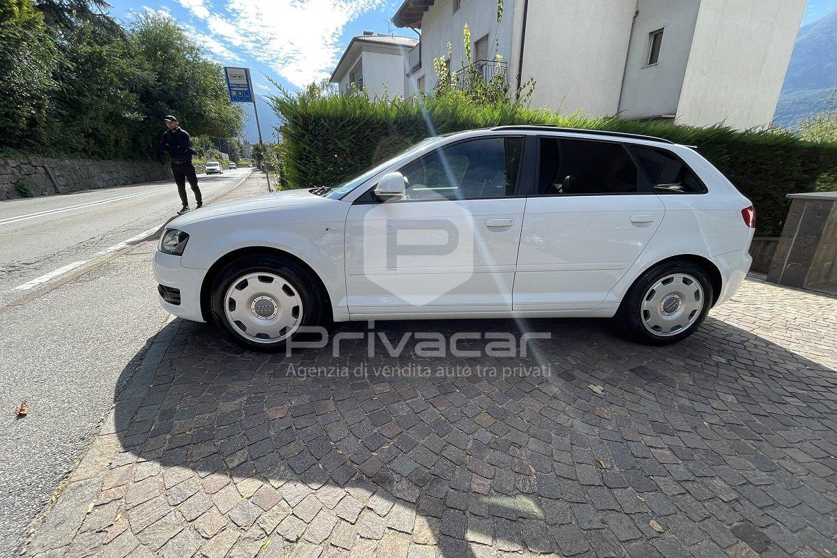 AUDI A3 SPB 2.0 TDI F.AP. Attraction