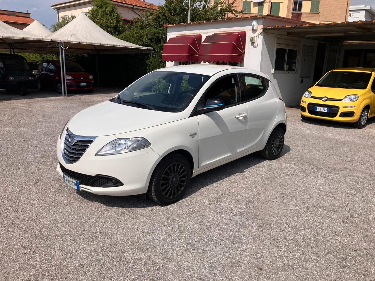 LANCIA YPSILON 1.2 69cv 5 Porte Elefantino
