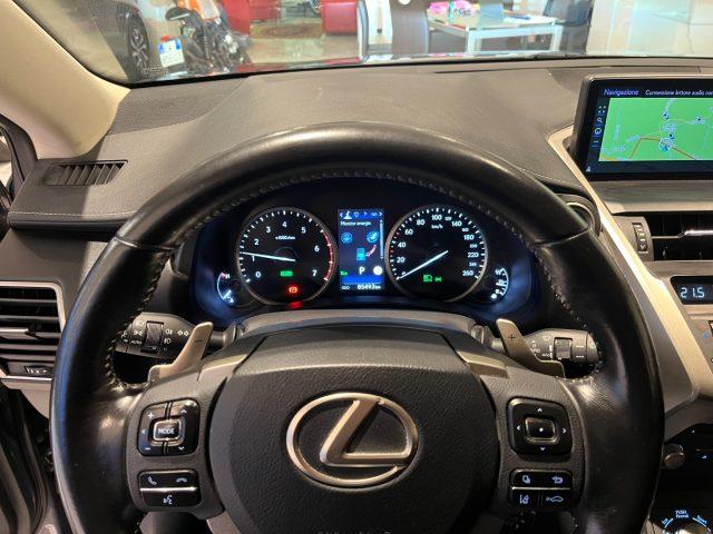 LEXUS NX 300 HYBRID 4WD BUSINESS 155CV