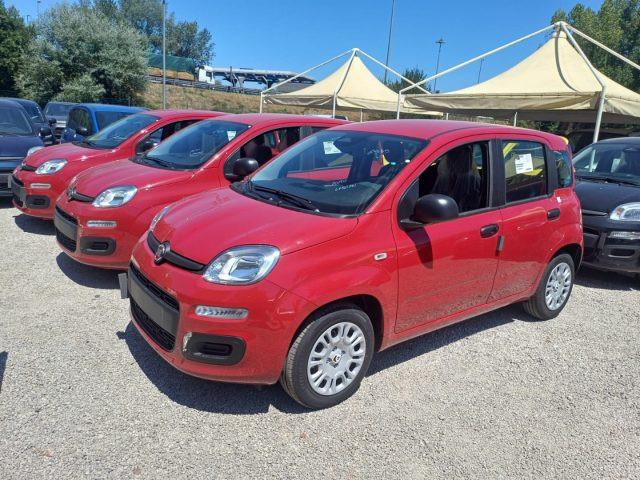 FIAT Panda 1000 HYBRID 70 CV PDC ITALIA
