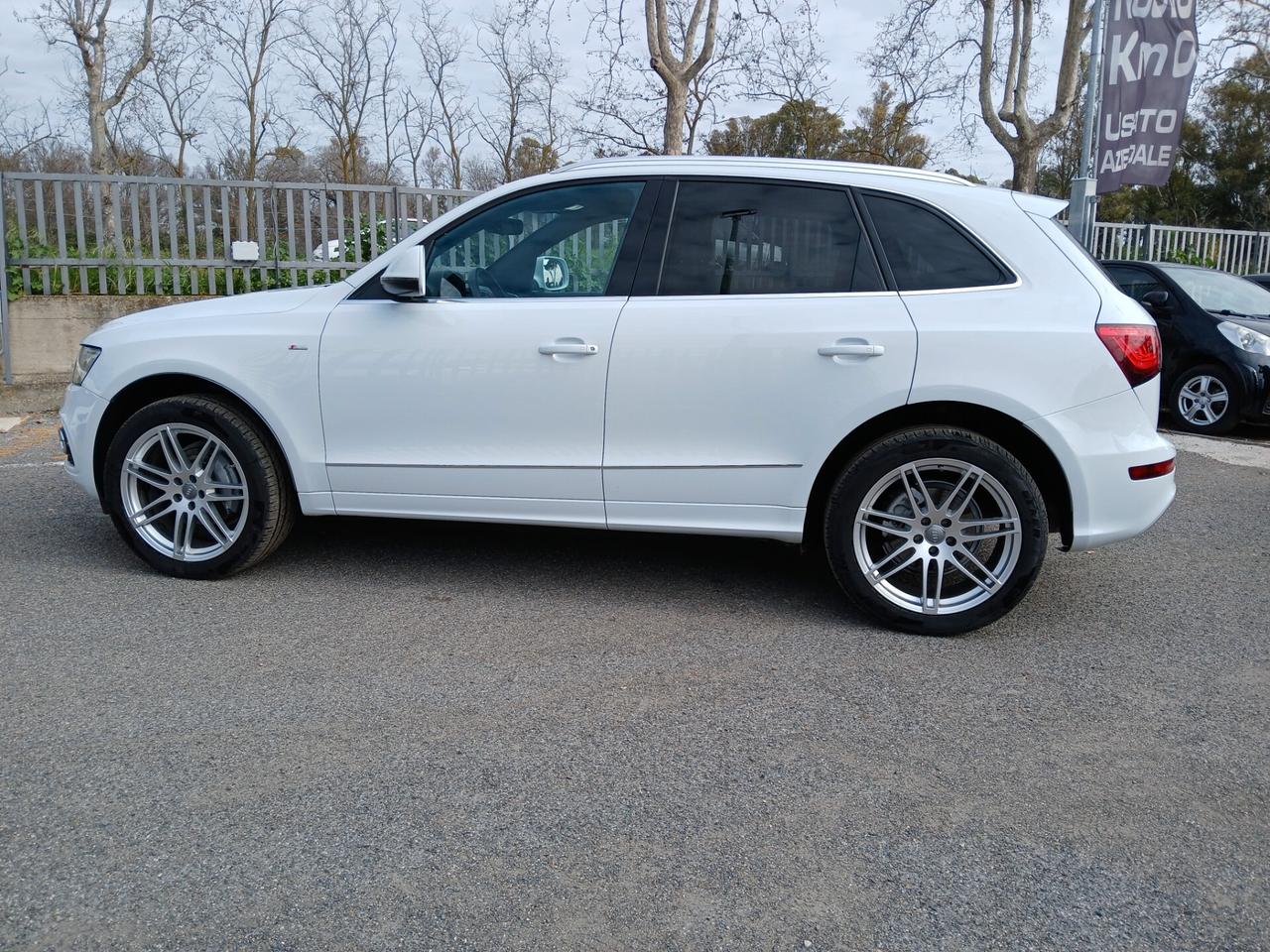 Audi Q5 2.0 TDI 177CV quattro S tronic Business