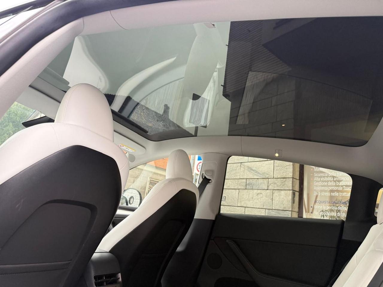 Tesla Model Y Standard Range / Standard #7392