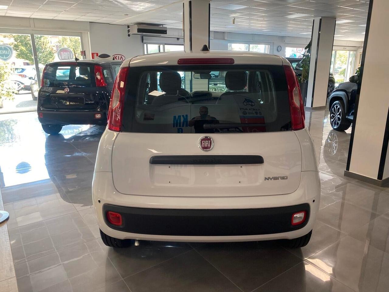 Fiat Panda Icon 1.0 Hybrid 65cv -KMO 2026