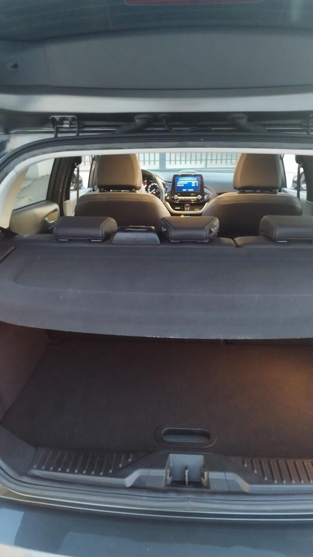 Ford Fiesta 1.5 TDCi 5 porte Vignale