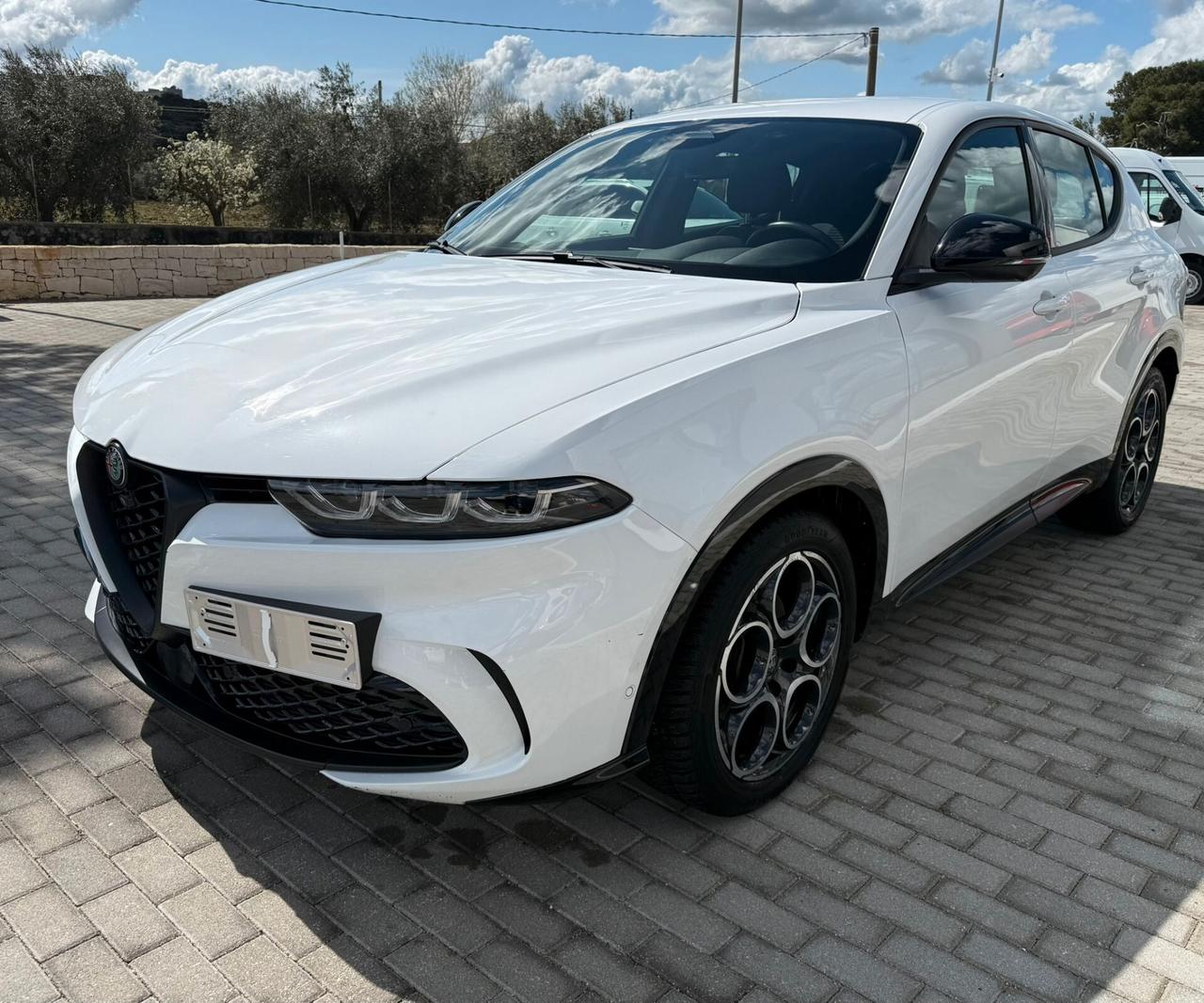 Alfa Romeo Tonale 1.6 diesel 130 CV TCT6 Tributo Italiano