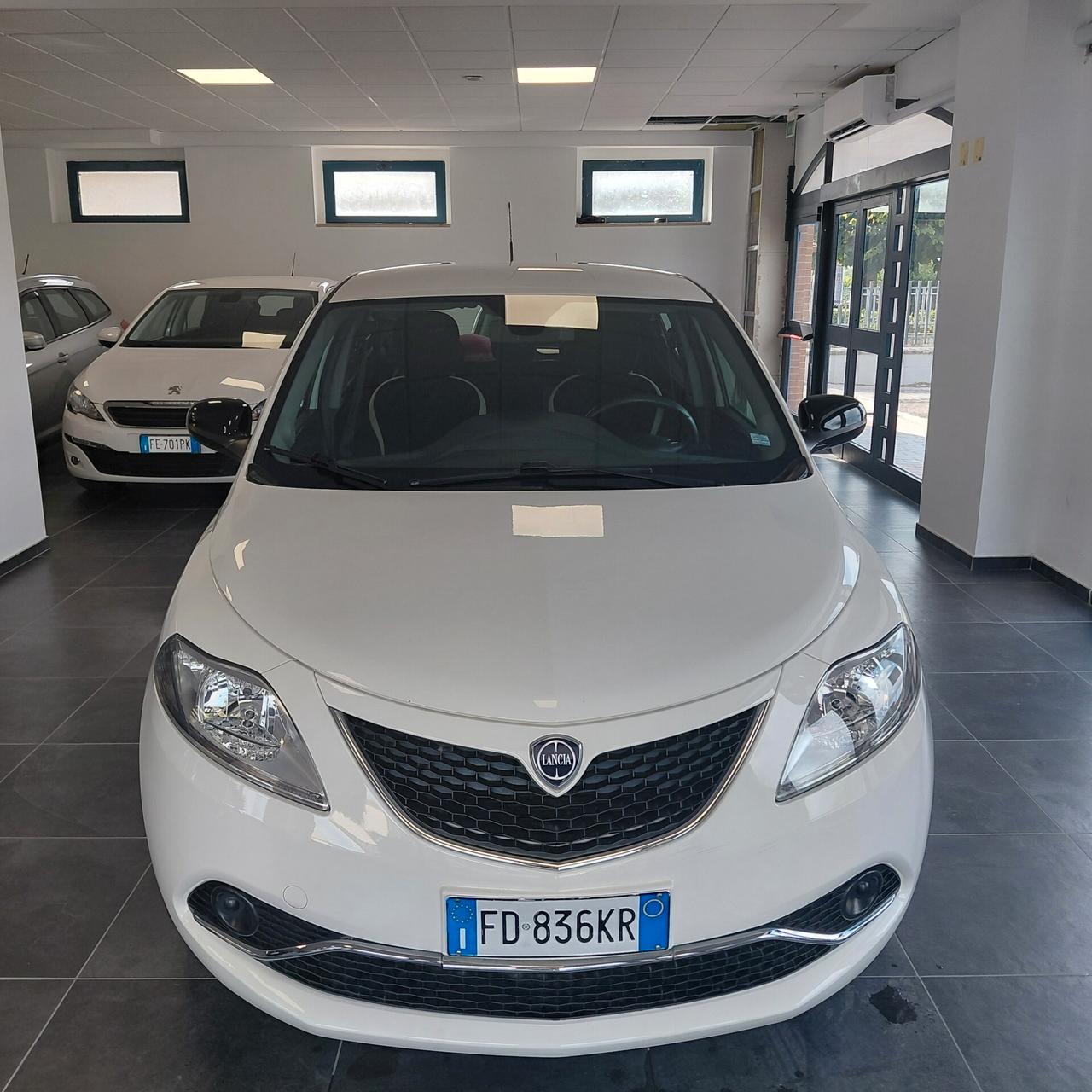 LANCIA YPSILON ANNO 2016 BZ GPL ADATTA NEOPATENTATI KM 149 MILA